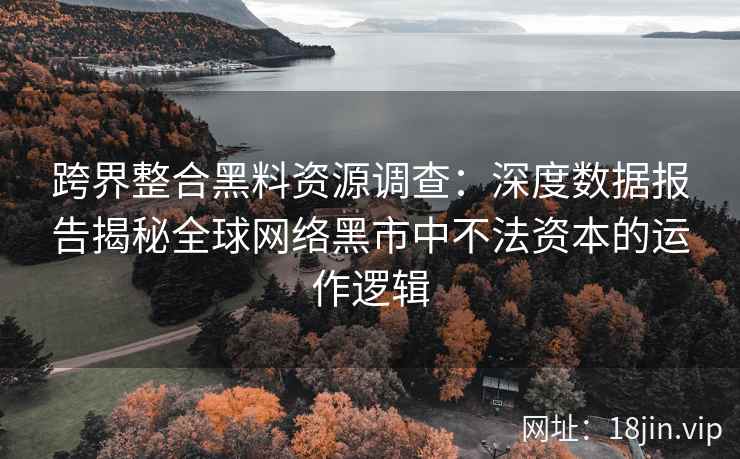 跨界整合黑料资源调查：深度数据报告揭秘全球网络黑市中不法资本的运作逻辑