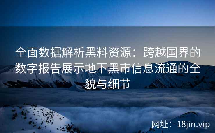 全面数据解析黑料资源：跨越国界的数字报告展示地下黑市信息流通的全貌与细节